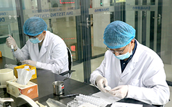 台州个人DNA亲子鉴定需要多少钱，台州隐私亲子鉴定具体的流程