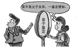台州DNA鉴定机构在哪有，台州亲子鉴定需要的材料
